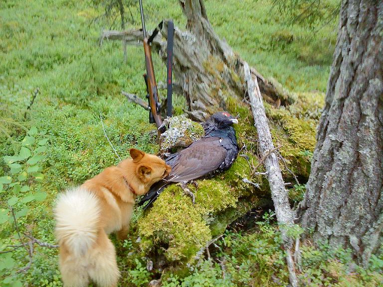 DSC00115.JPG